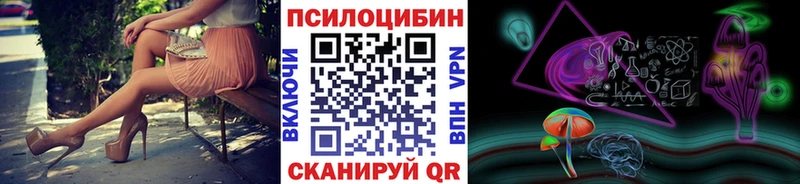 Купить закладки  Сибай  Псилоцибиновые грибы мицелий 